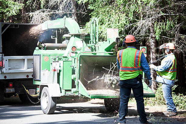 Mulching Services in Kensington, CT